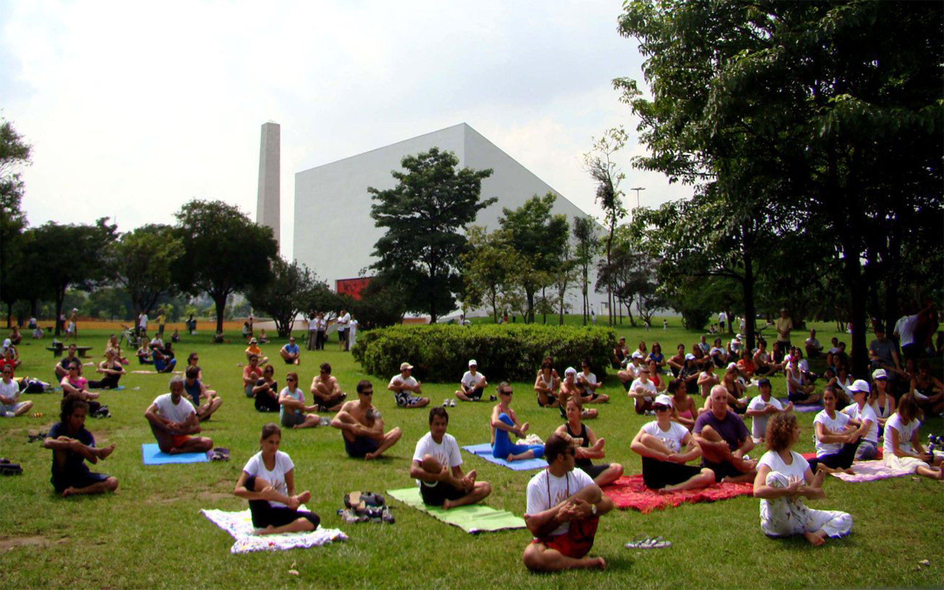 Meditação coletiva